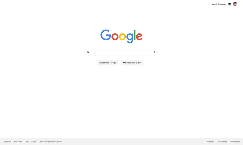 Captura del clon de Google